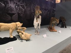 -国家自然博物馆