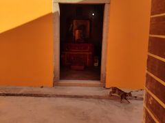 -陈岱后山窑鸡店