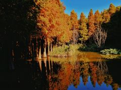 -捞渔河湿地公园