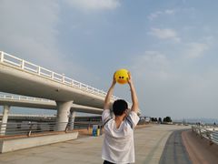 -演武大桥观景平台
