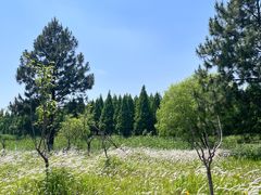 -苏州太湖国家湿地公园