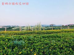 -光明小镇欢乐田园