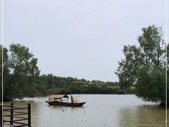 -大湾区中央湿地公园