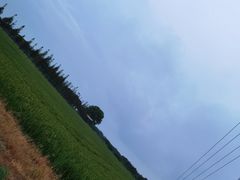 -七的湖·晚芳亭·阳澄湖农家菜·大闸蟹(莲花岛店)