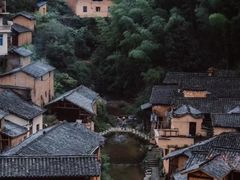 -杨家堂村