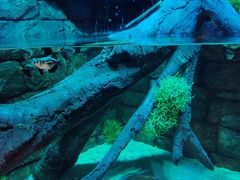 -沈阳海洋探索中心