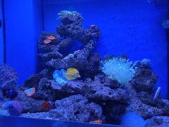 -石家庄海洋公园