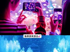 -南昌融创海世界