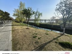 -羊山湖公园