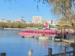 -莲花池公园