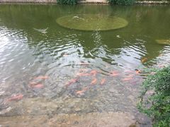 -全国青少年井冈山革命传统教育基地