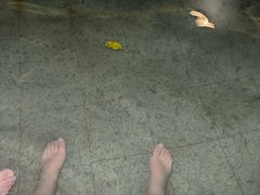 -天赐温泉