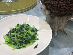 -丁老爷子苏香圆