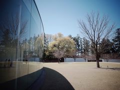 -金泽21世纪美术馆