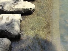 -鹿亭中村