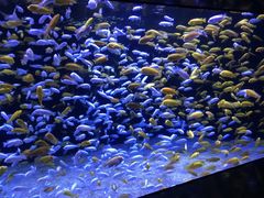 -成都浩海立方海洋公园