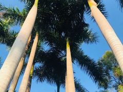 -人民公园(罗湖区)