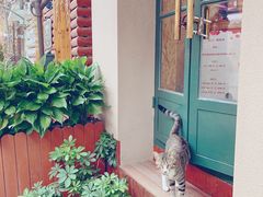 -茶百道(二七万达店)