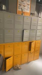 -G-STEPS舞蹈工作室