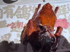 -大鸽饭(动物园店)