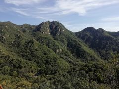 -大岭沟猕猴桃谷风景区