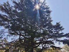 -青岛德国总督楼旧址博物馆