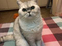 -美联众合动物医院·24h转诊中心