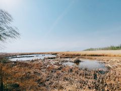 -野鸭湖国家湿地公园