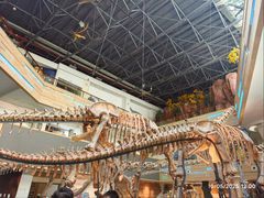 -安徽省地质博物馆