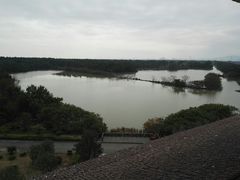 -大湾区中央湿地公园