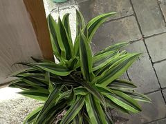 -瓦舍茶馆(聚源路店)