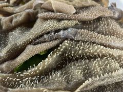 -江边渔家(龙舟文化园店)