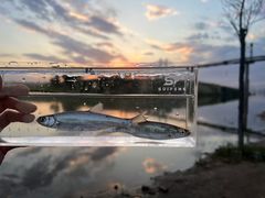 -永定河休闲森林公园