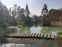 -桤木河湿地公园