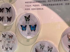 -常州博物馆
