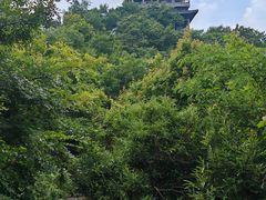 -敬亭山风景名胜区