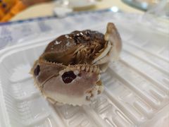 -先锋海鲜市场