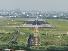 -空港花田景区