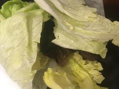 圆生菜-新辣道鱼火锅(领展购物广场·中关村店)