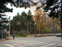 -长春市南湖公园