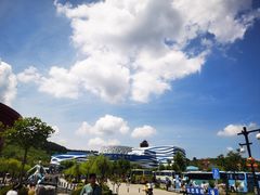 -海合安青岛极地海洋公园