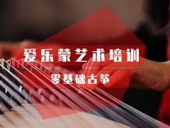 -爱乐蒙艺术·古筝 钢琴 声乐(科华校区)