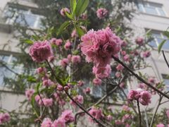 -北京商贸学校
