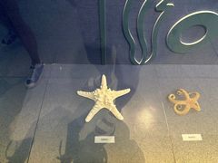 -大连自然博物馆