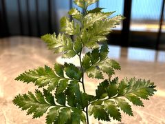 -纪林菜馆·博山菜老字号(华光路店)
