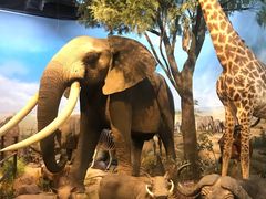 -陕西自然博物馆