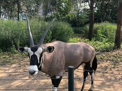 -大连森林动物园