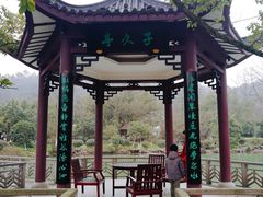 景观位-杭州雅谷泉山庄酒店-餐厅