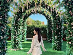 -汕头龙光喜来登酒店