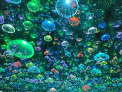 -郑州梵高星空错觉艺术馆(大上海城旗舰店)